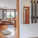 Platzhirsch Feriehus