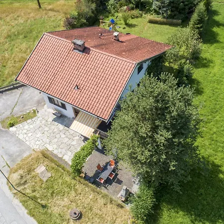 Platzhirsch